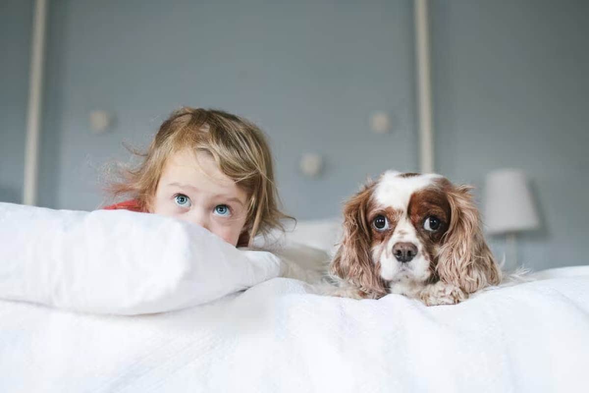 baby and dog on the bed looking up
